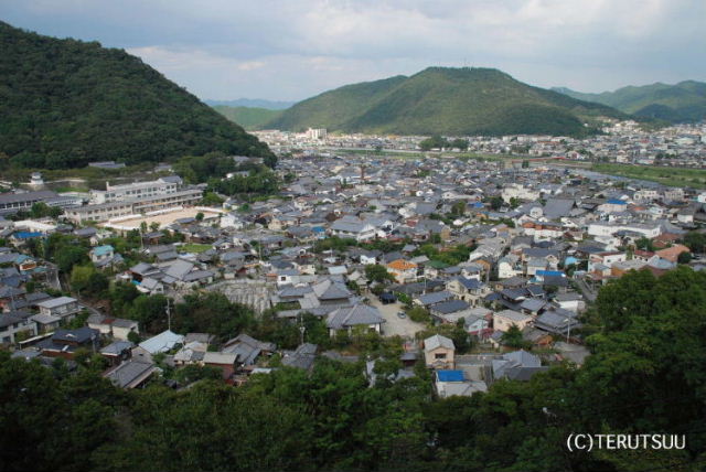 俳優佐藤輝 撮影 兵庫県たつの市 赤とんぼ荘から市街を見る